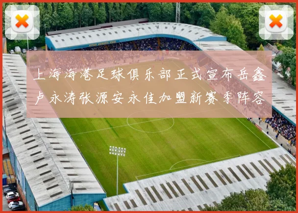 上海海港足球俱乐部正式宣布岳鑫卢永涛张源安永佳加盟新赛季阵容更新