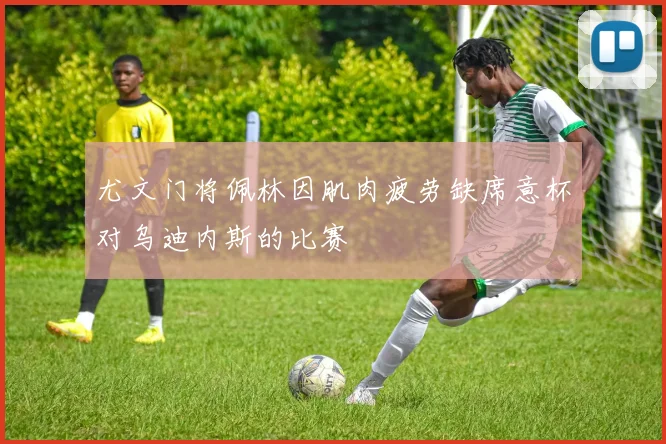 尤文门将佩林因肌肉疲劳缺席意杯对乌迪内斯的比赛