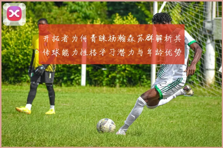 开拓者为何青睐杨瀚森苏群解析其传球能力性格学习潜力与年龄优势